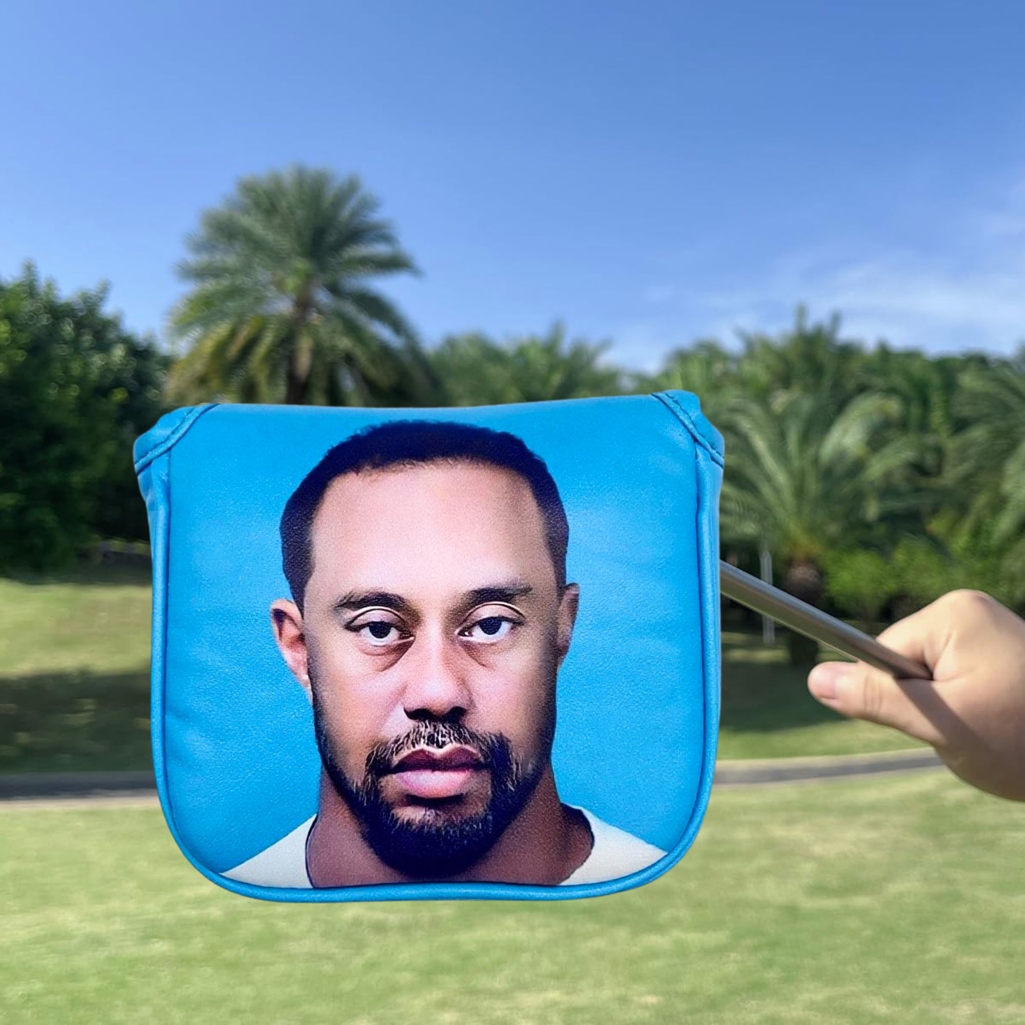 Funny Golf Mallet Putter Head  - đánh giá và giá Men Accessories Usa